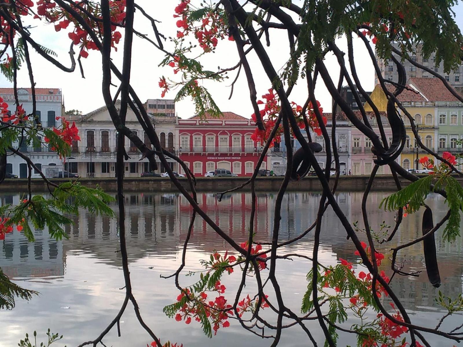 Melhor Localizacao Recife Ate 6 Pessoas Dış mekan fotoğraf